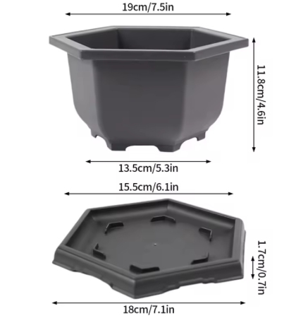 Vasi per piante rettangolari per piante Vasi da giardino per esterni Vasi da fiori Vassoi per vasi per piante grasse Forniture da giardino Fioriera quadrata