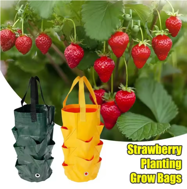 Vaso per fioriera riutilizzabile sacchetti per coltivazione in PE per fiori di ortaggi borsa per piante da esterno borsa per fioriera per fiori di patate alla fragola appesa