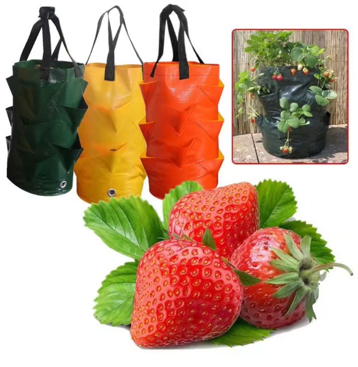 Vaso per fioriera riutilizzabile sacchetti per coltivazione in PE per fiori di ortaggi borsa per piante da esterno borsa per fioriera per fiori di patate alla fragola appesa